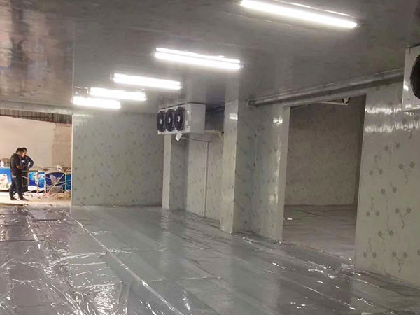 某科技集團有限公司